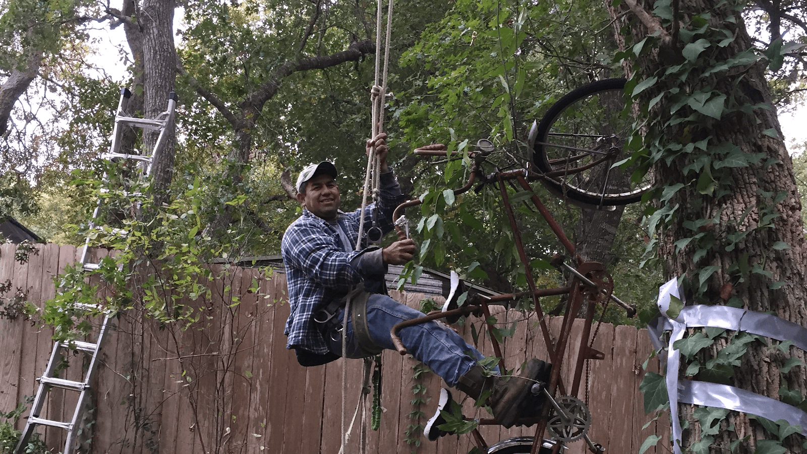 Carbajal Tree Service