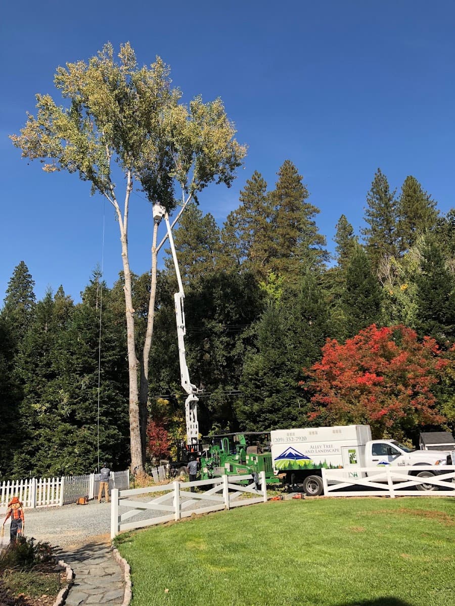 Alley Tree & Landscape Inc.