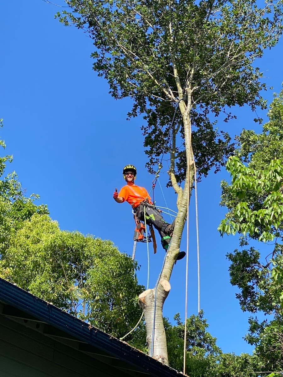 LongView Tree Care