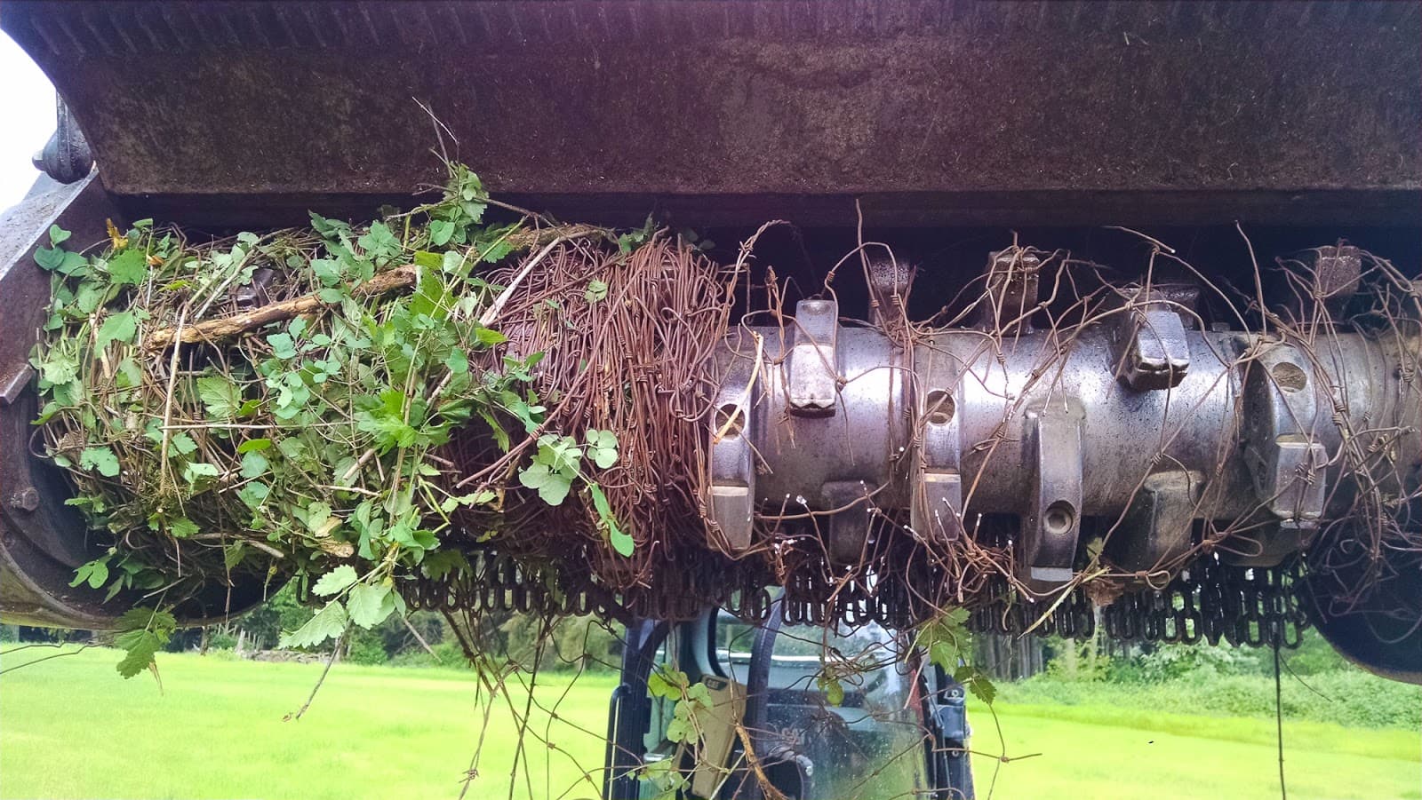 Elwood's Tree Service