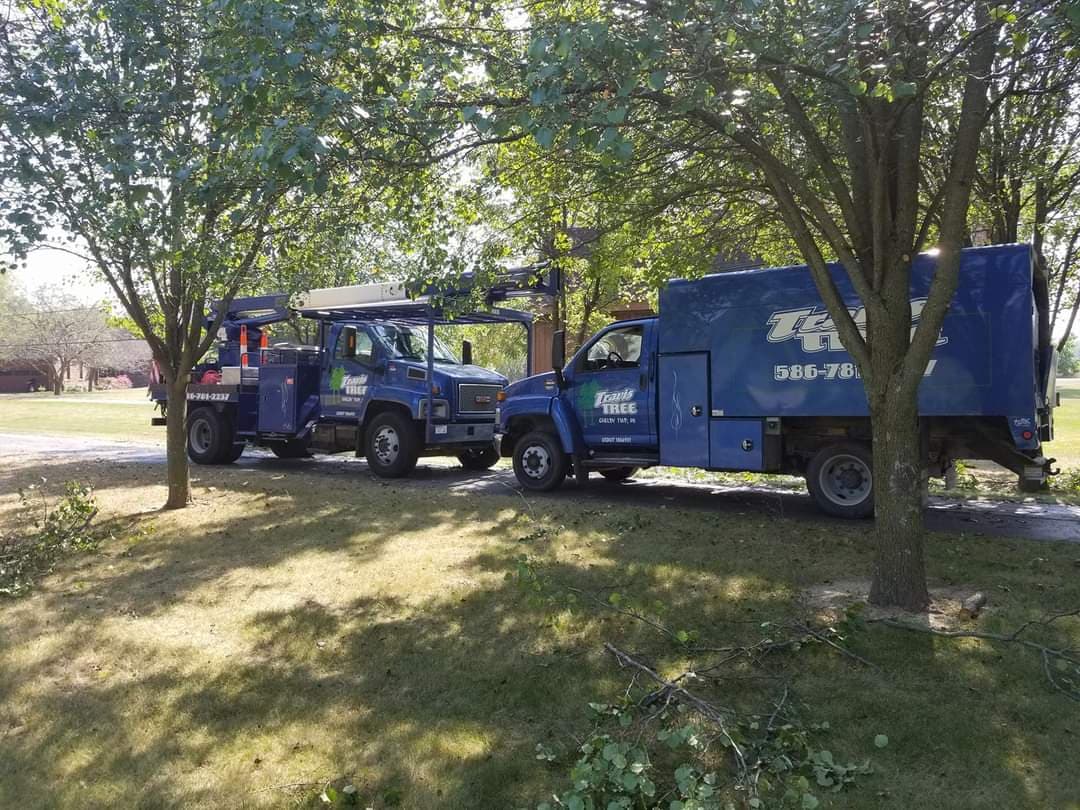 Travis Tree Service LLC