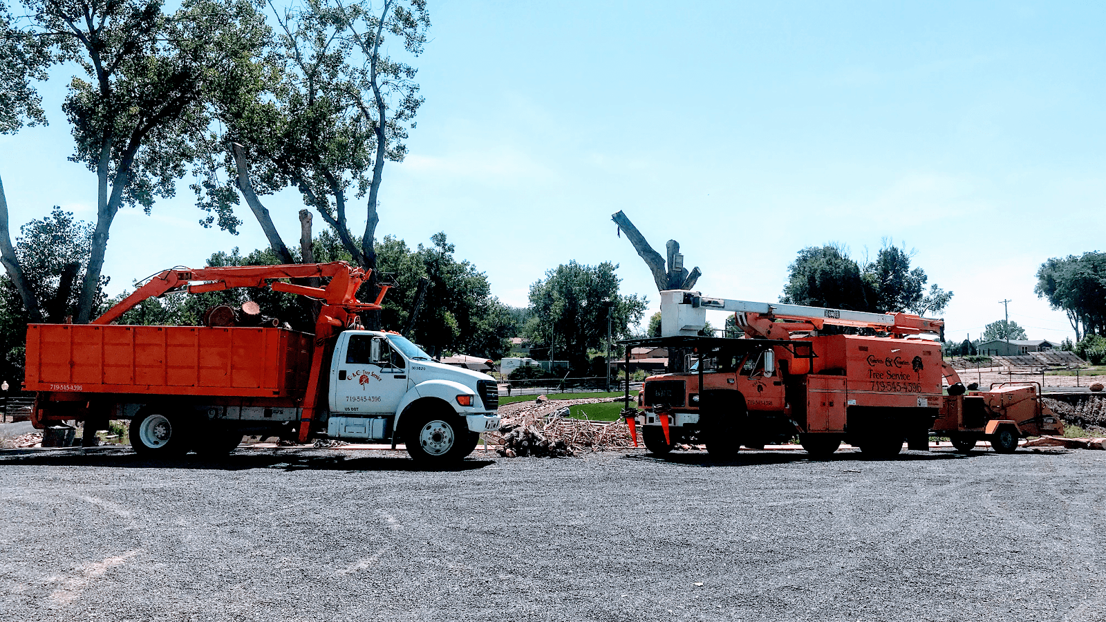 Charles and Charles Tree Service