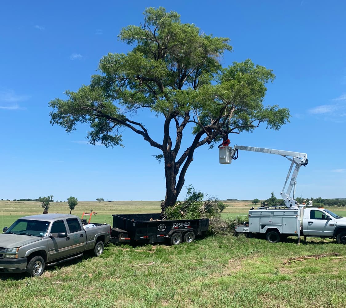 A - Z Tree Service LLC