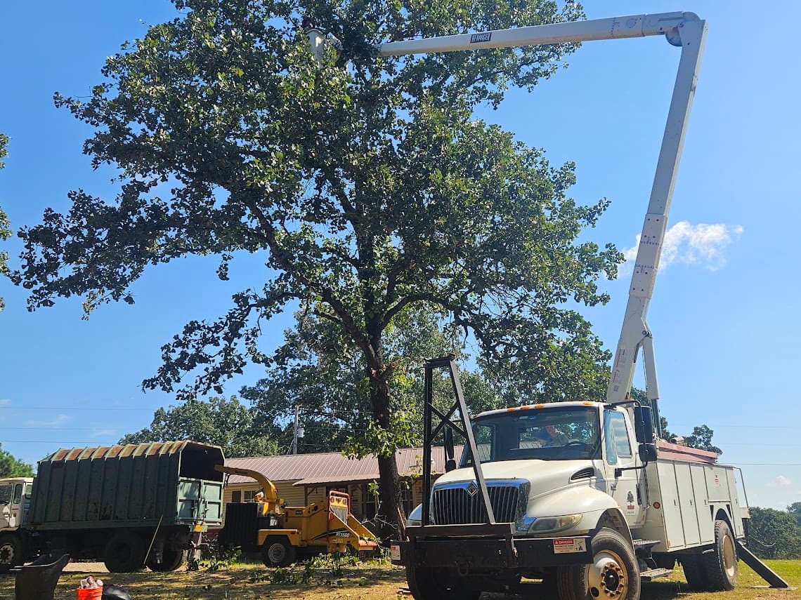 Ozark Arborist