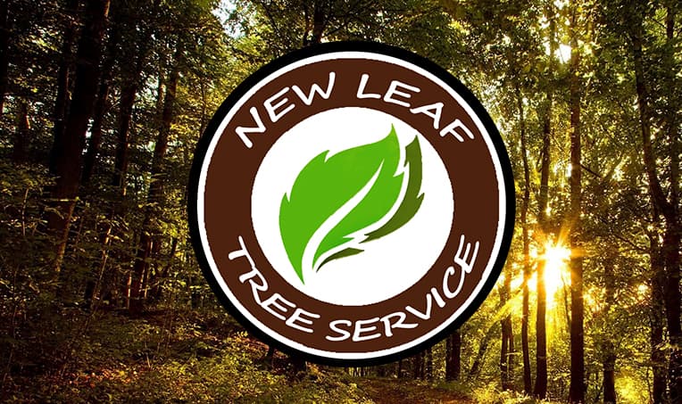 New Leaf Tree Service