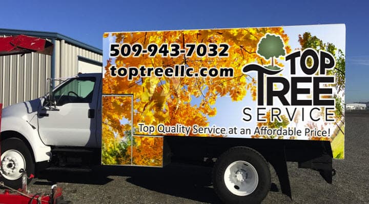 Top Tree Service