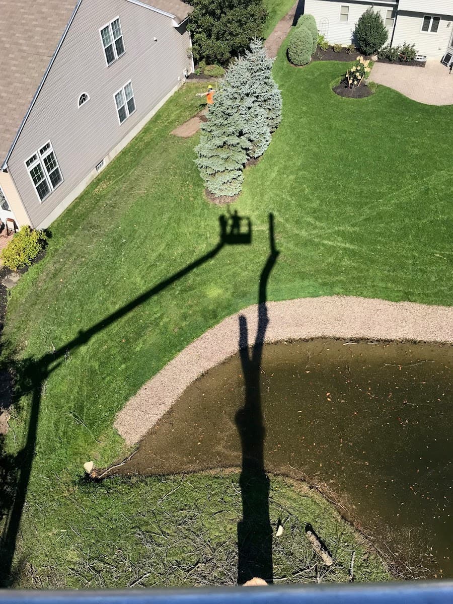 Hoppy's Tree Service