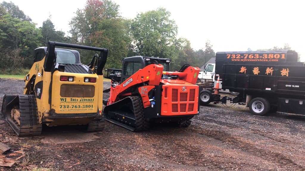 WJ Tree Services & Landscaping