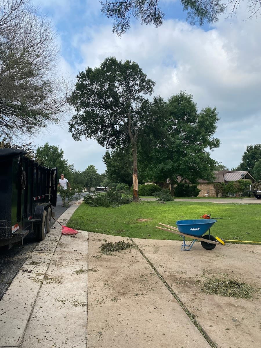 Roush Tree Removal LLC