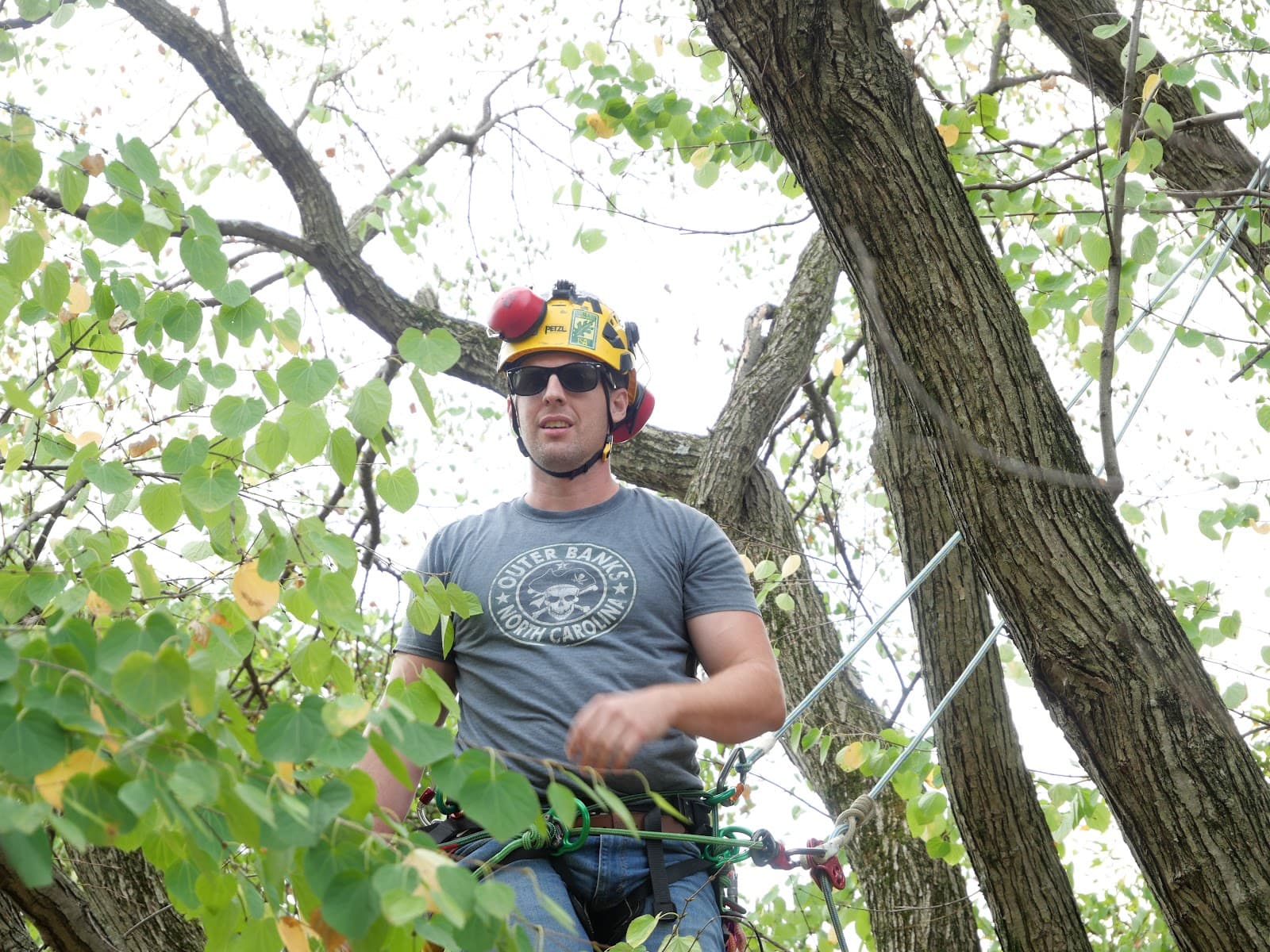 Ryan Sormilich Arborist LLC