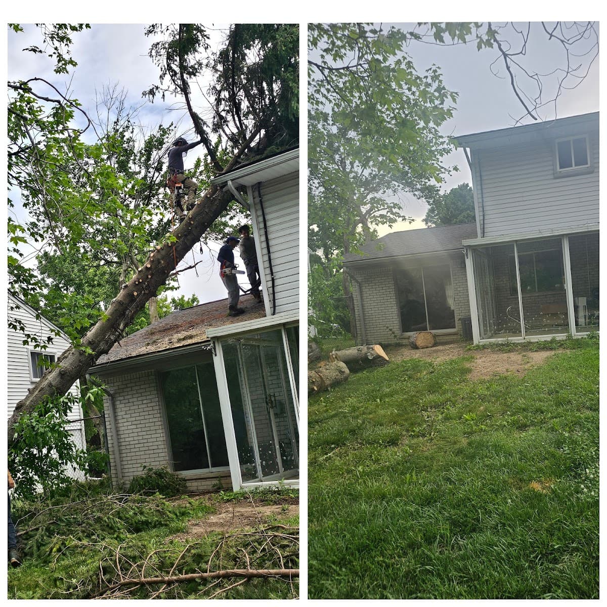 D & Y Tree Service