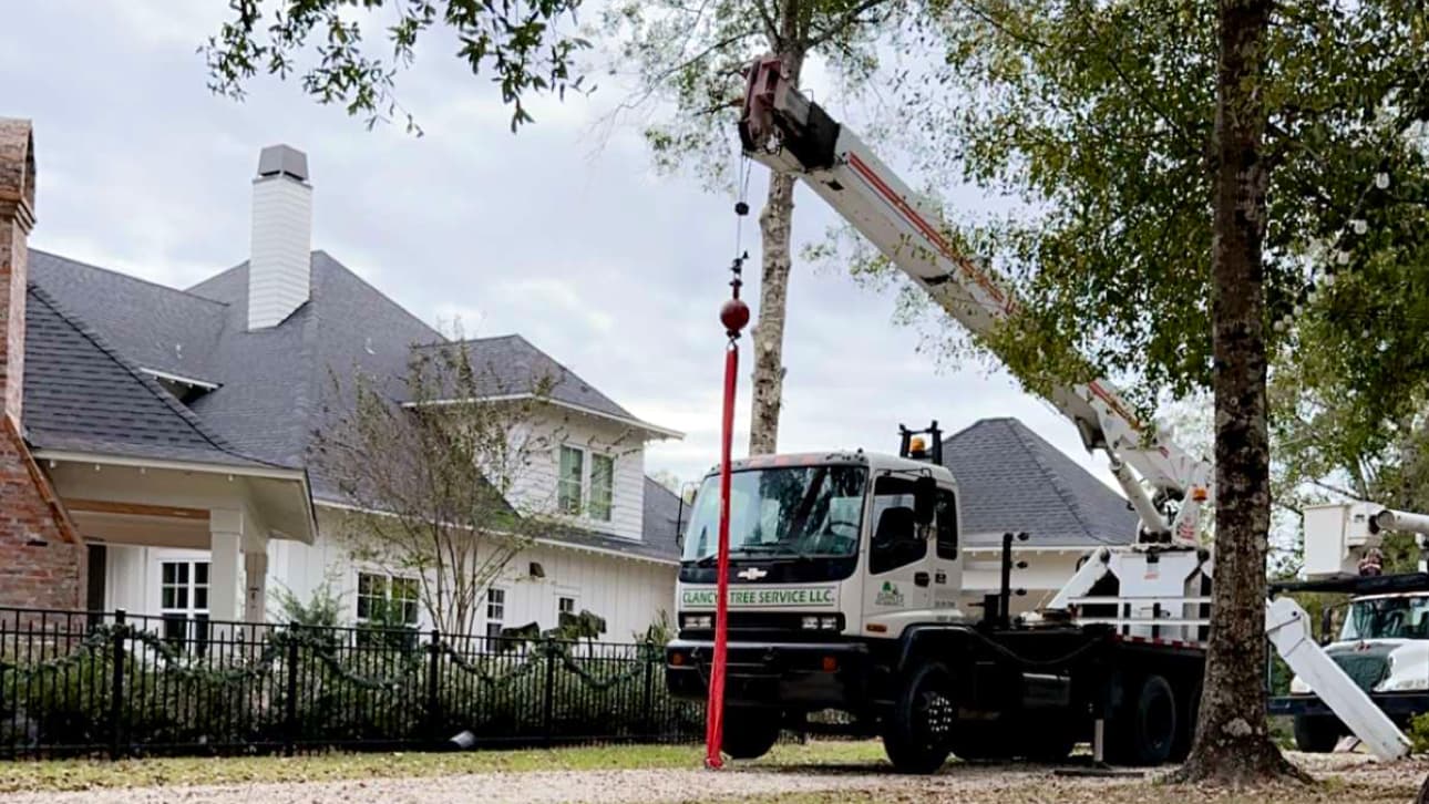 Clancy's Tree Service, LLC