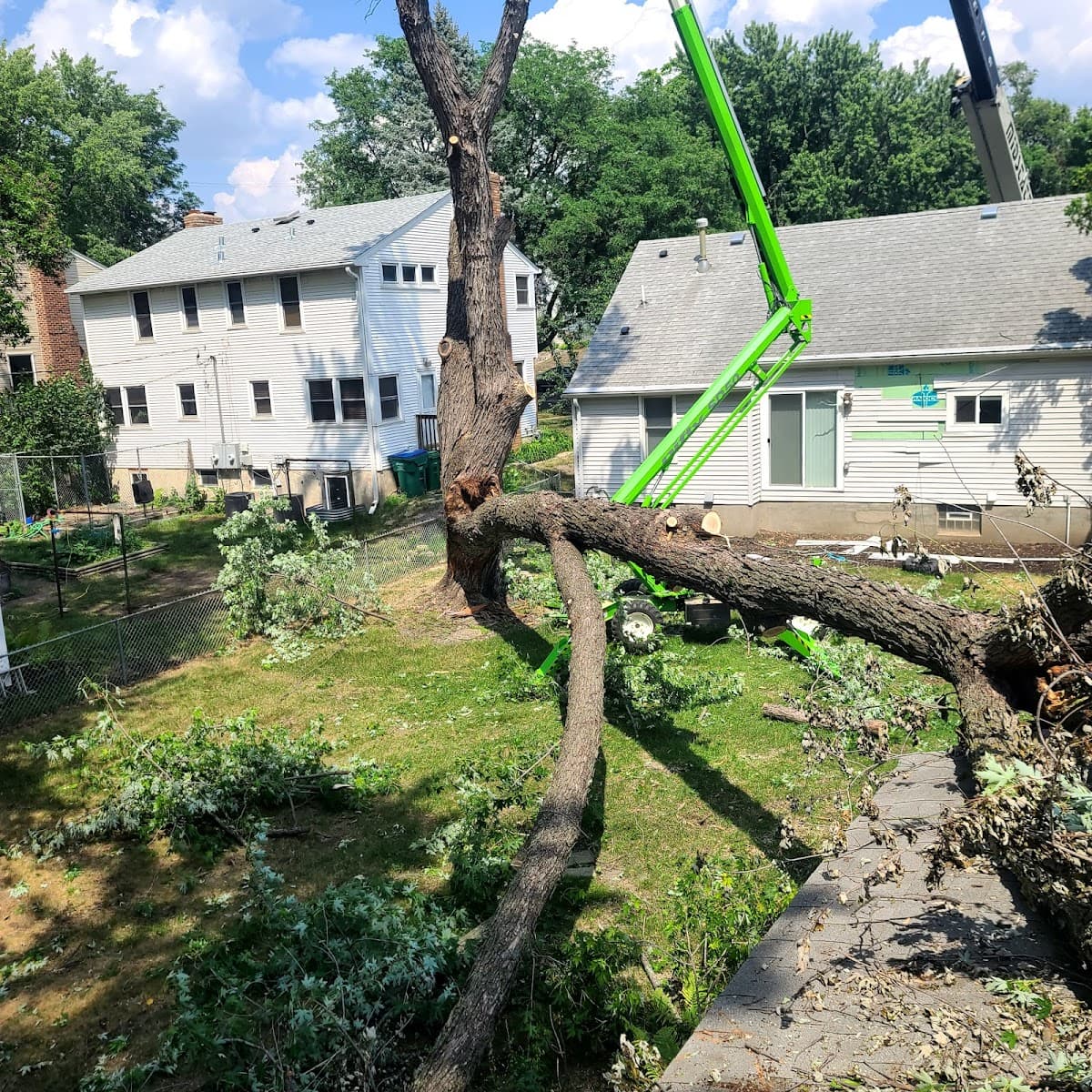 Dynasty Tree Experts