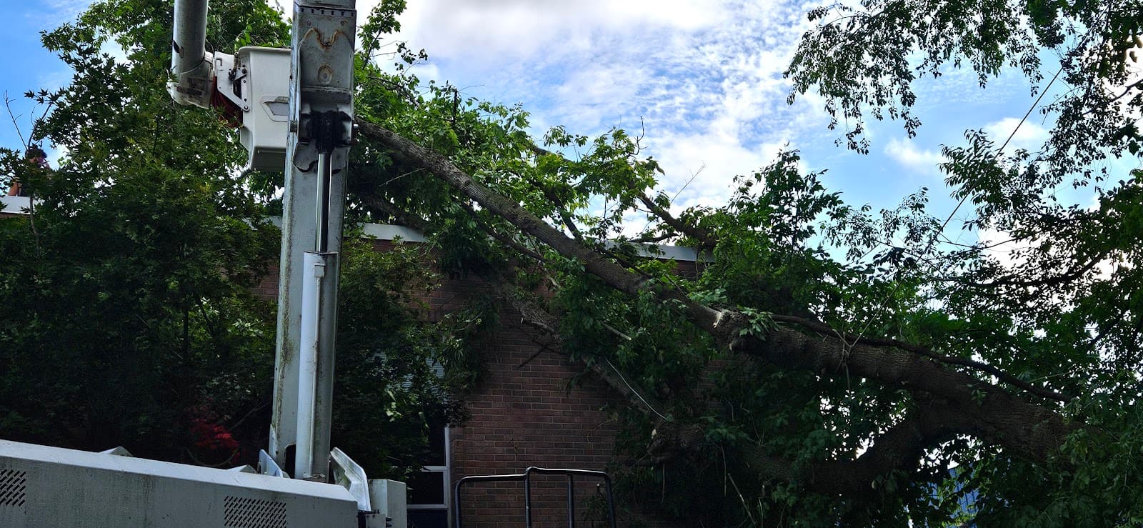 Travis Monk Tree Service