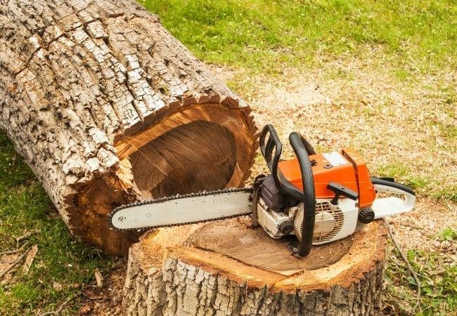 Discount Tree Cutting And Removal