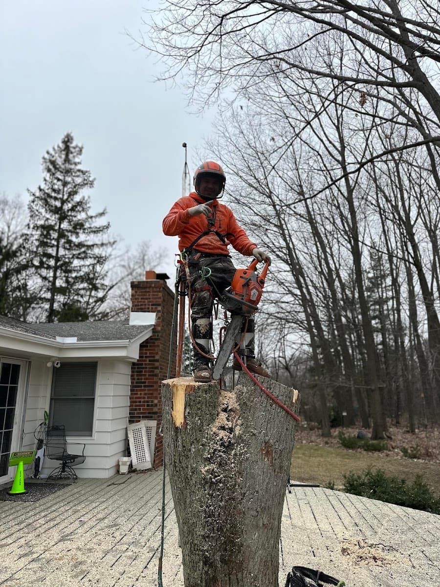 Razor sharp Tree Service & lawn care LLC