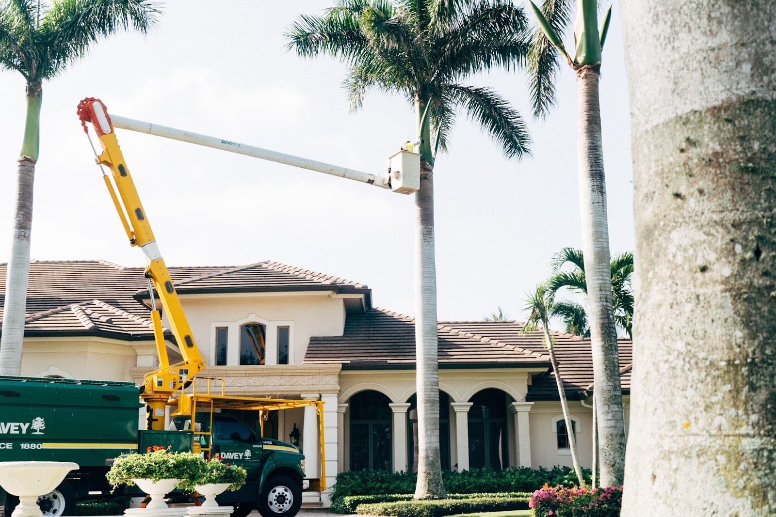 The Davey Tree Expert Company