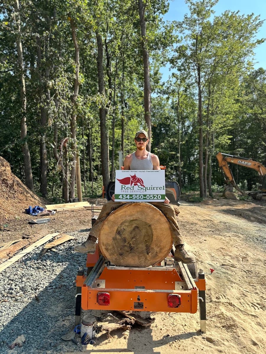Red Squirrel Tree Service