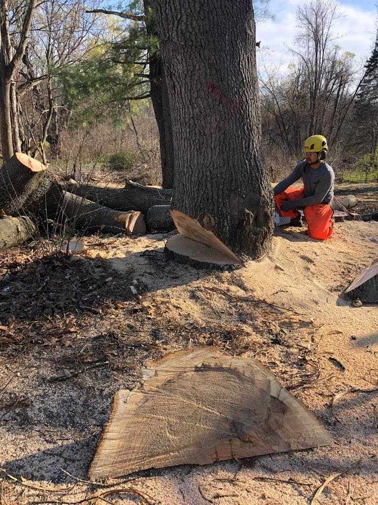 JC & G Tree Service Corp