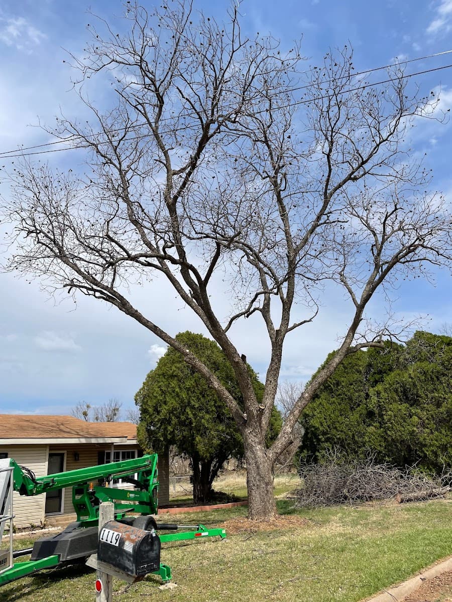Wichita Falls Tree Care & More