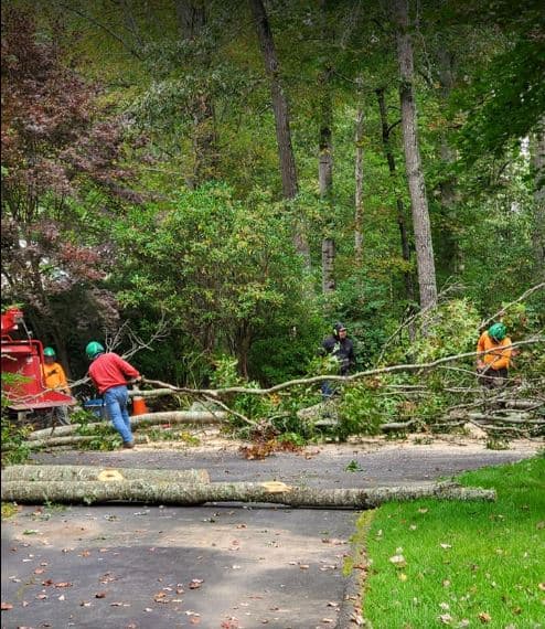 All Pro Tree & Crane, Inc.