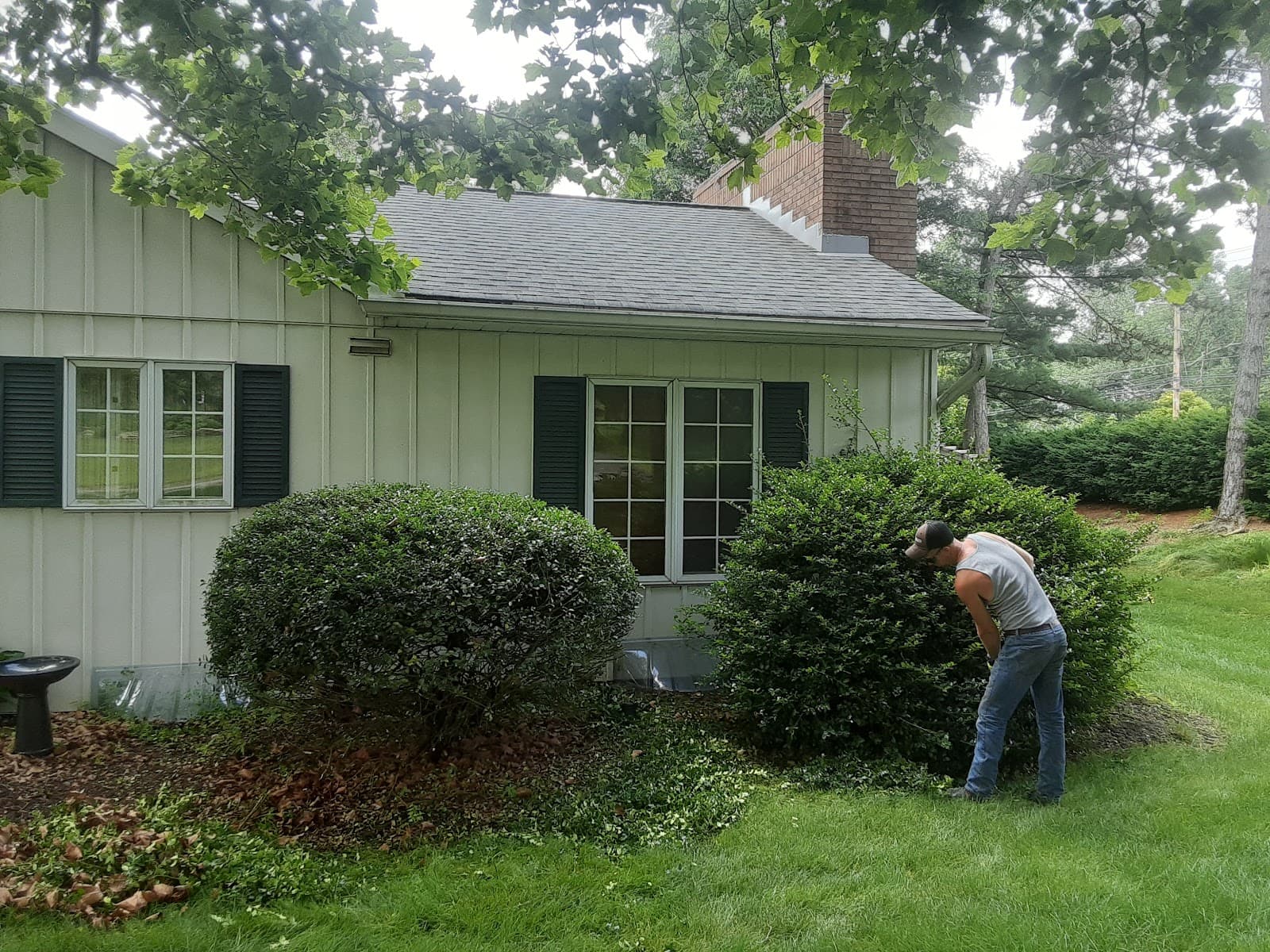 Squirrels Nest Tree Service LLC