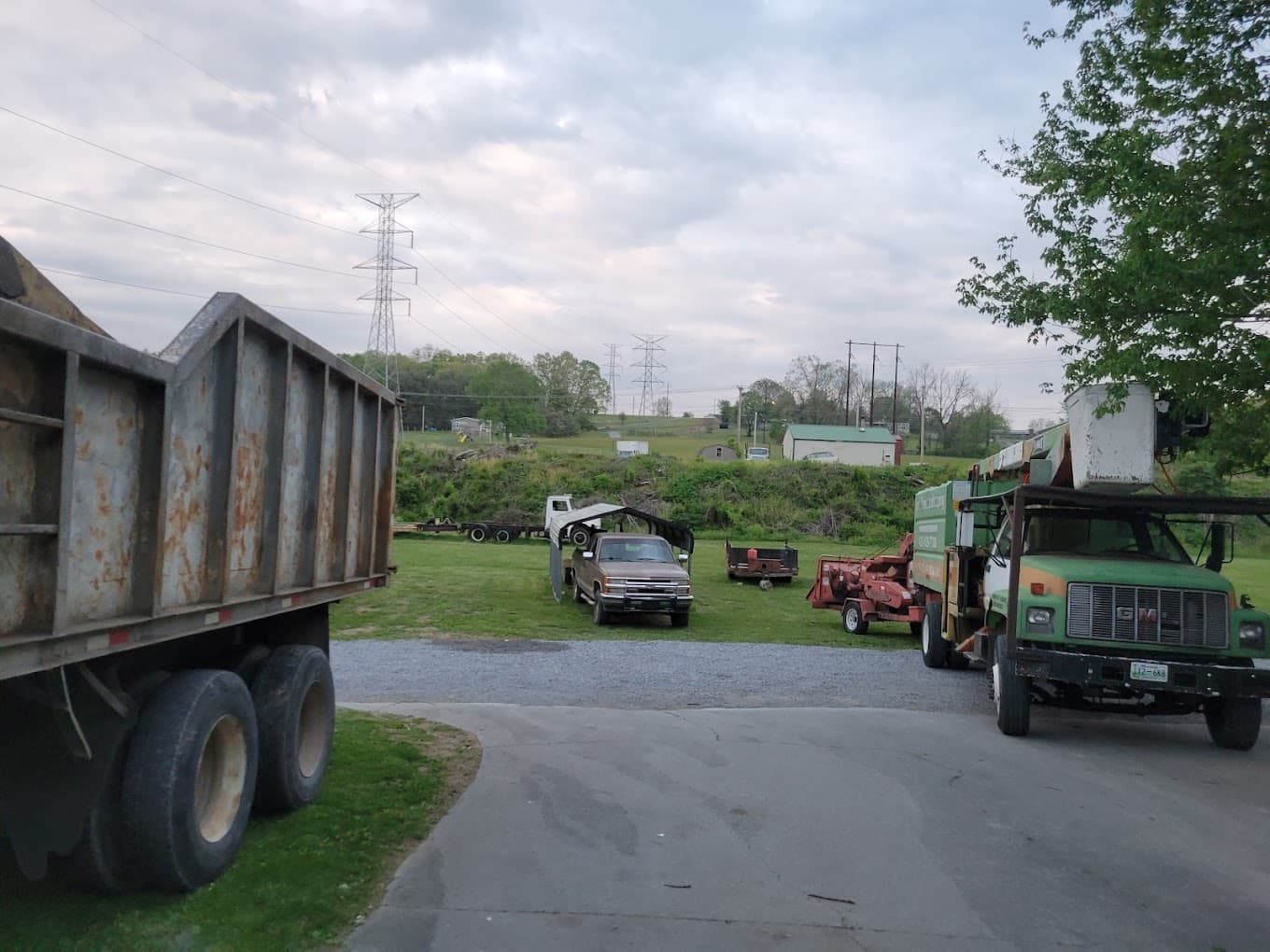 AAA Don's Tree Service & Stump Removal