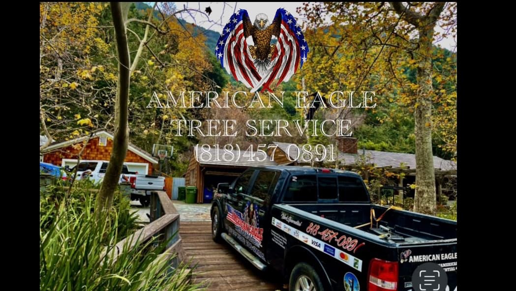American Eagle Tree Service