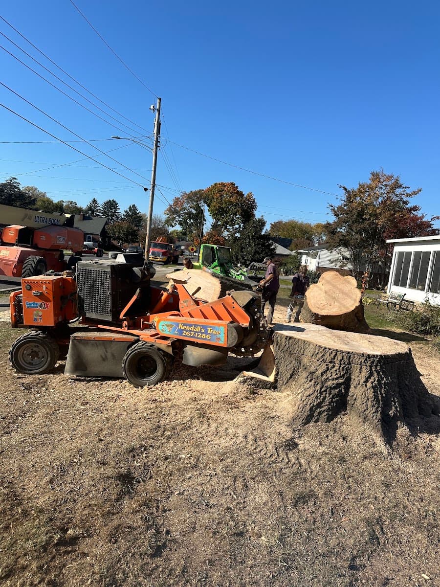 Kendall's Tree Service