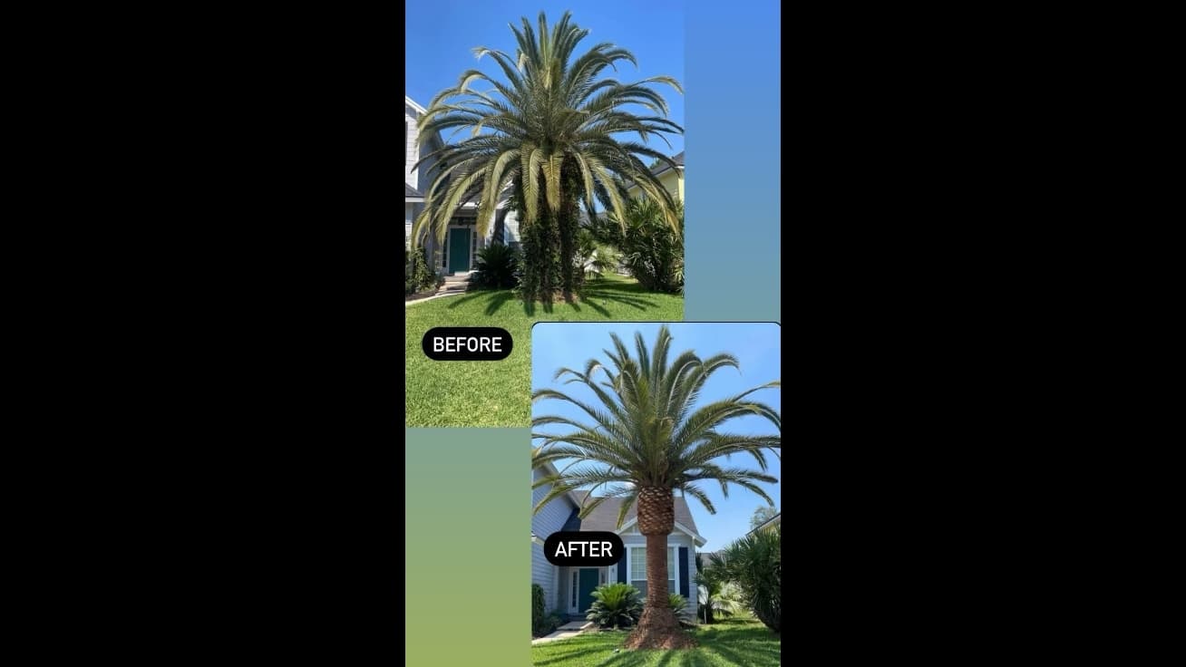 Smith’s Tree and Stump LLC