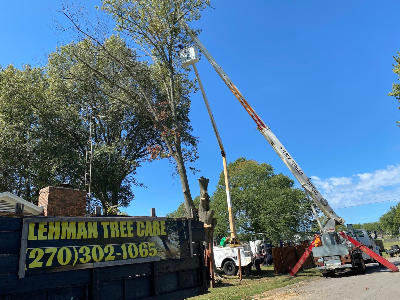 Lehman Tree Care