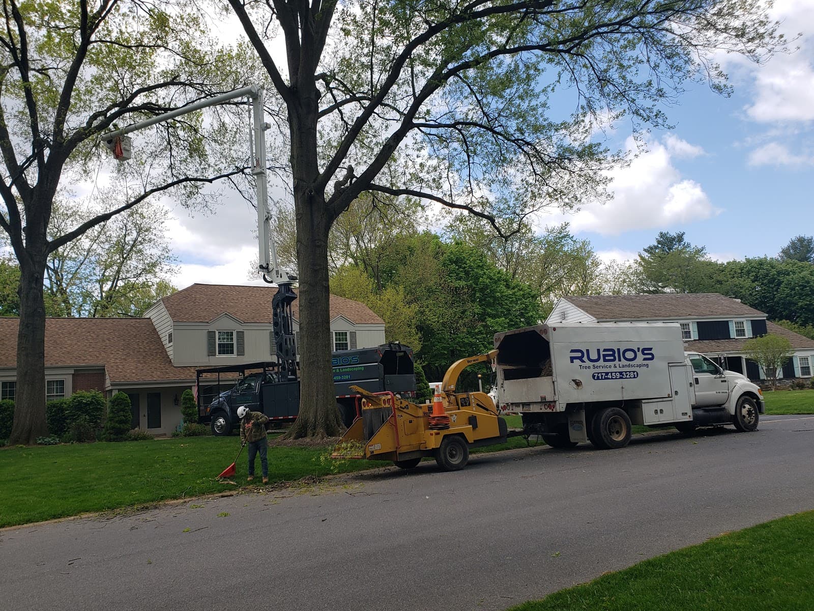 Rubio's Tree Services & Landscaping