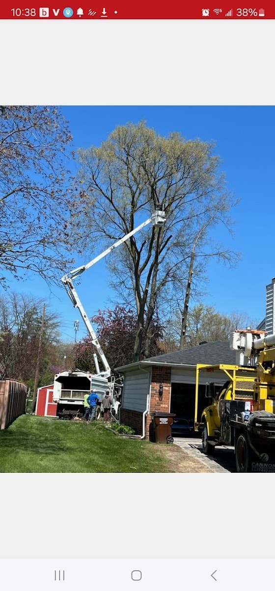 White's Tree Service LLC