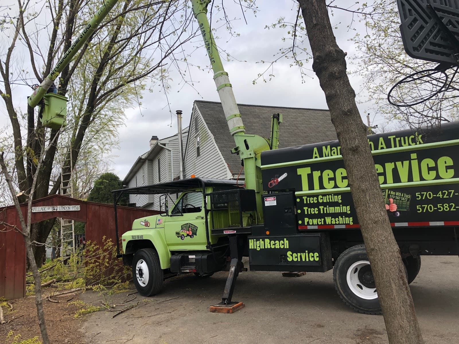 Watson Tree Services