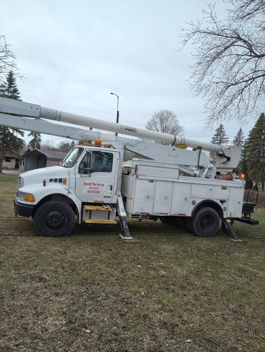 Bassett Tree Service