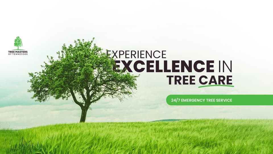 Tree Masters of Tennessee