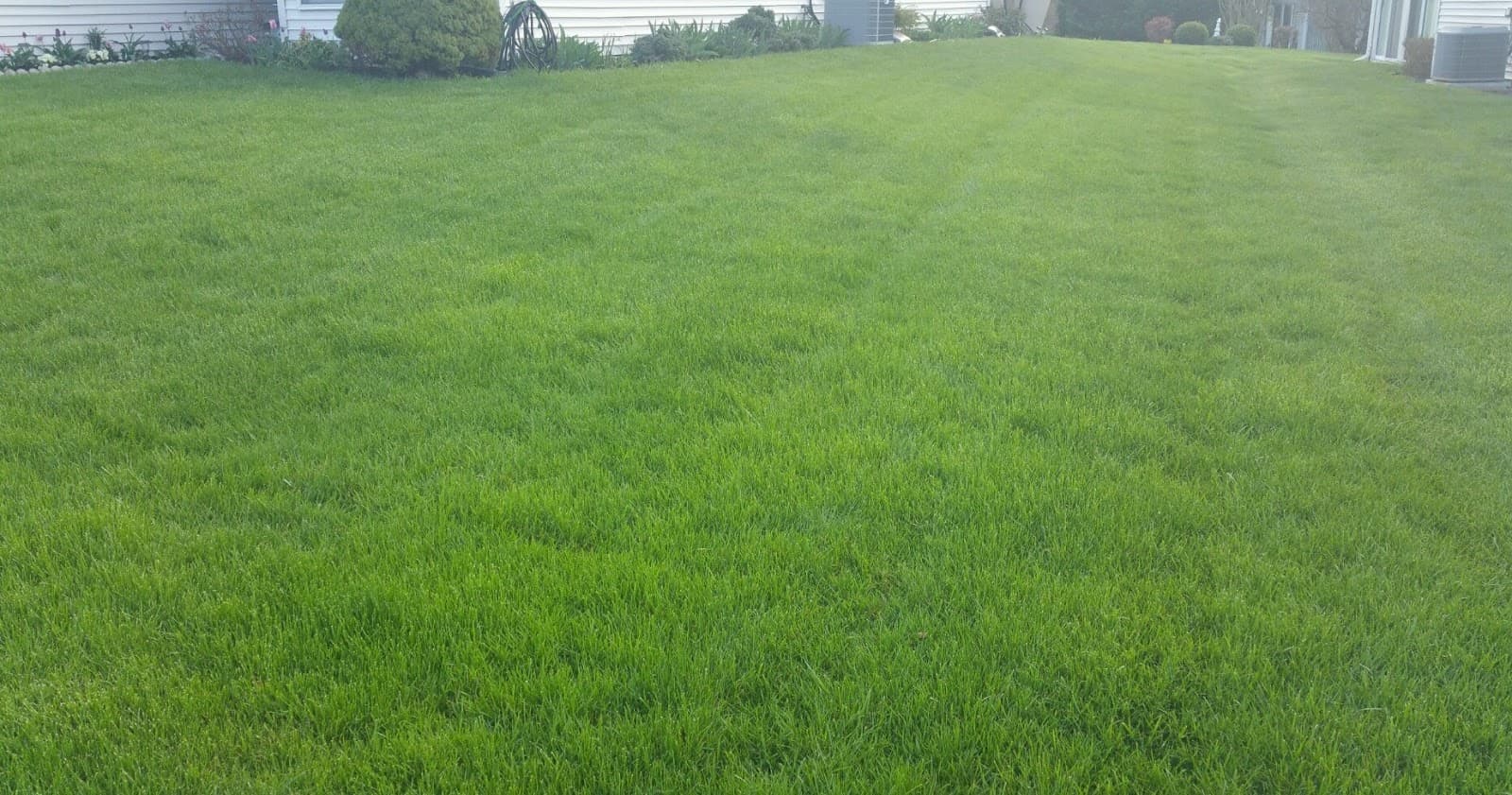 American Lawn and Tree Specialists, Inc.