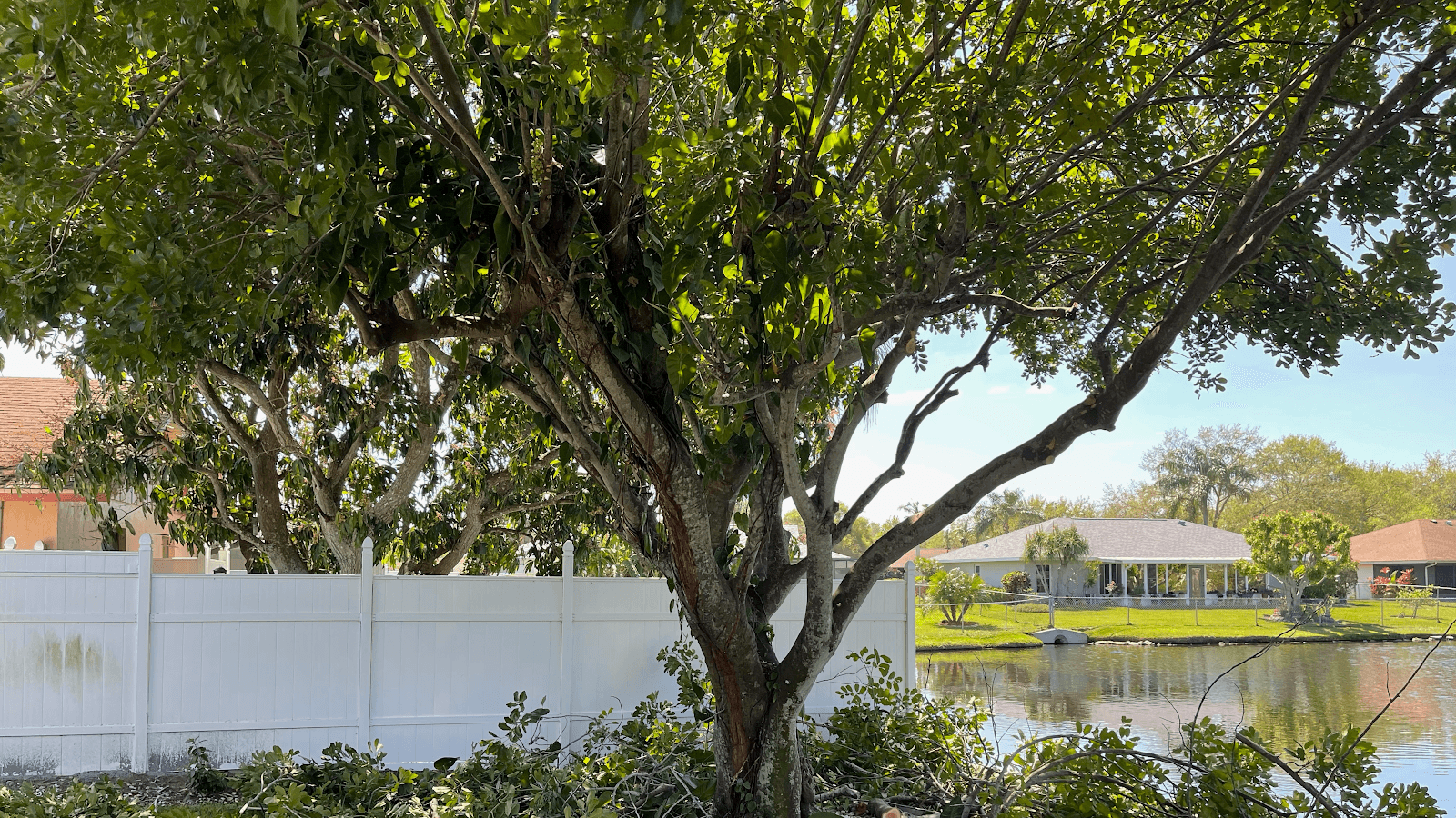 Jason & Sons Countreewide Tree Service LLC