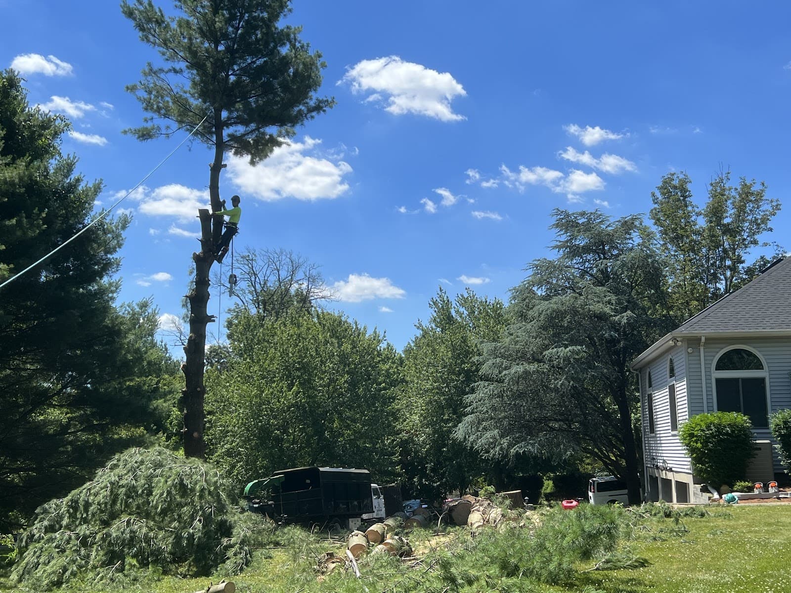 Briggs Tree Service & Landscaping