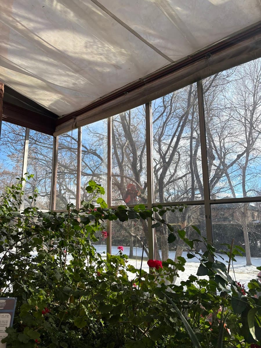 CM Tree Service and Removal