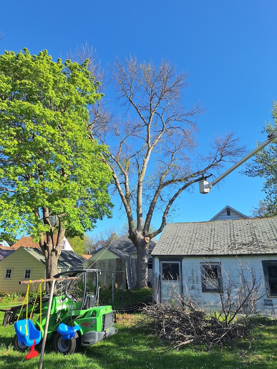 Rock Creek Tree and Stump Removal llc