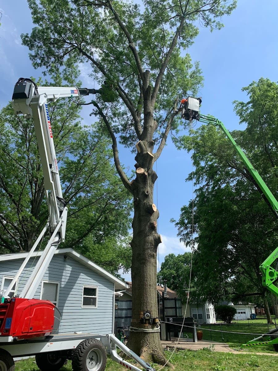 Arbor Care Piekarski & Sons