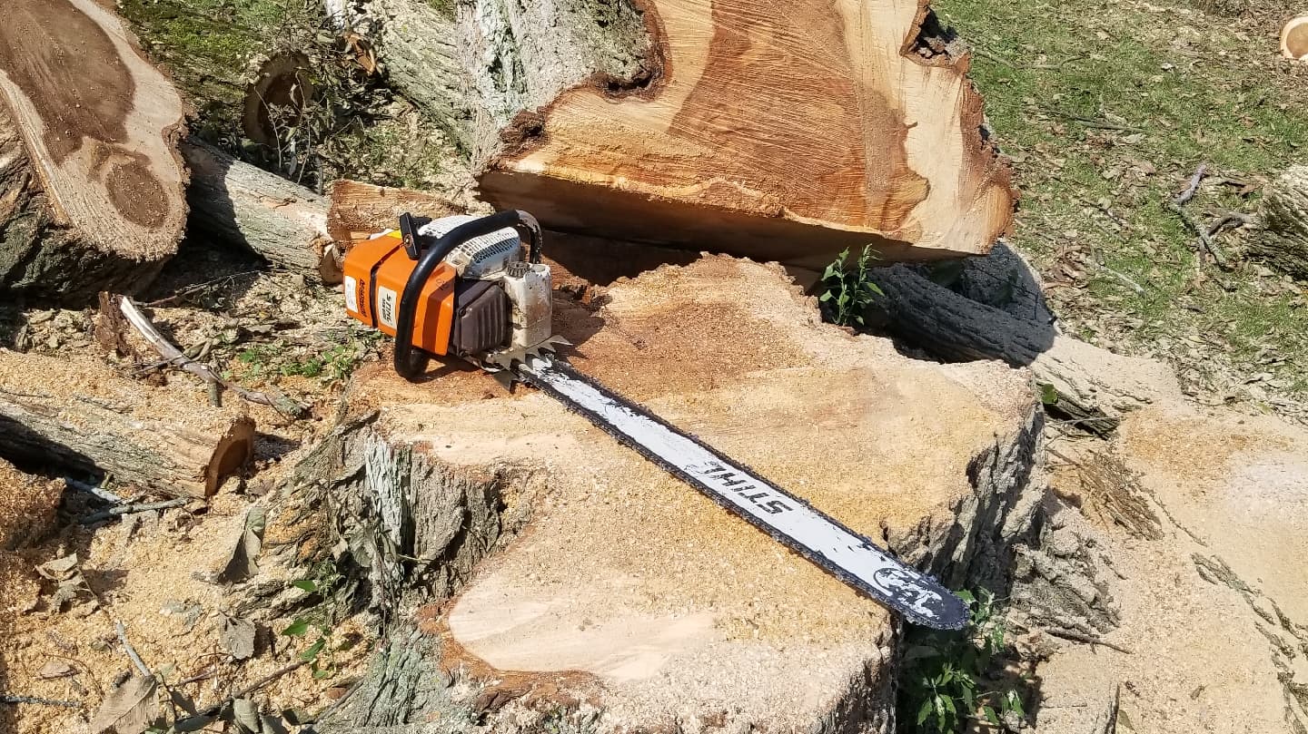 Pepe's Tree Service Inc