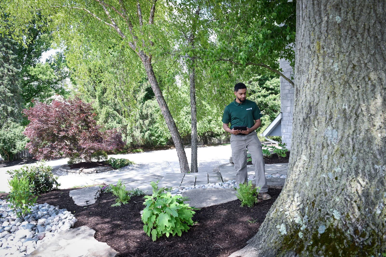 The Davey Tree Expert Company