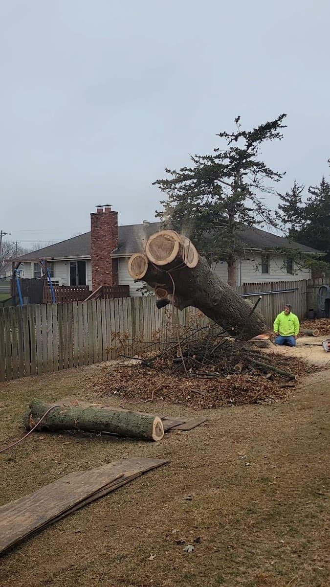 Ritter's Ultimate Tree Service LLC