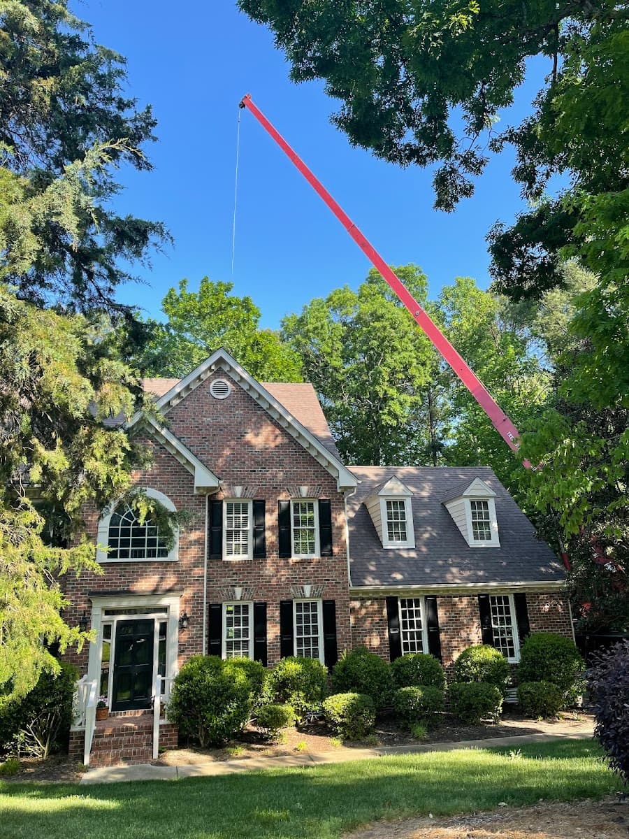 M & T Friendly Tree Service LLC