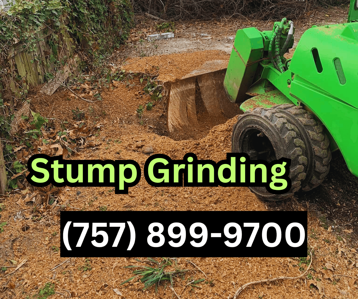Tree Stump Removal and Excavation