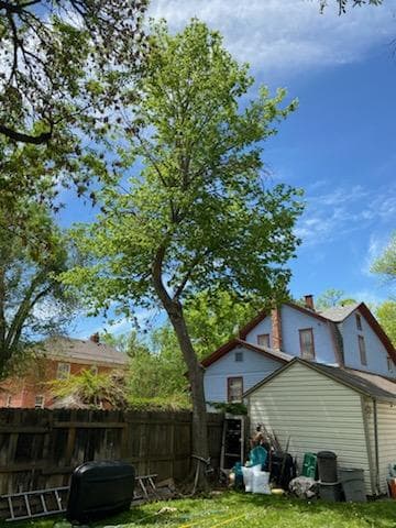 Oak Arbor Care Corp.