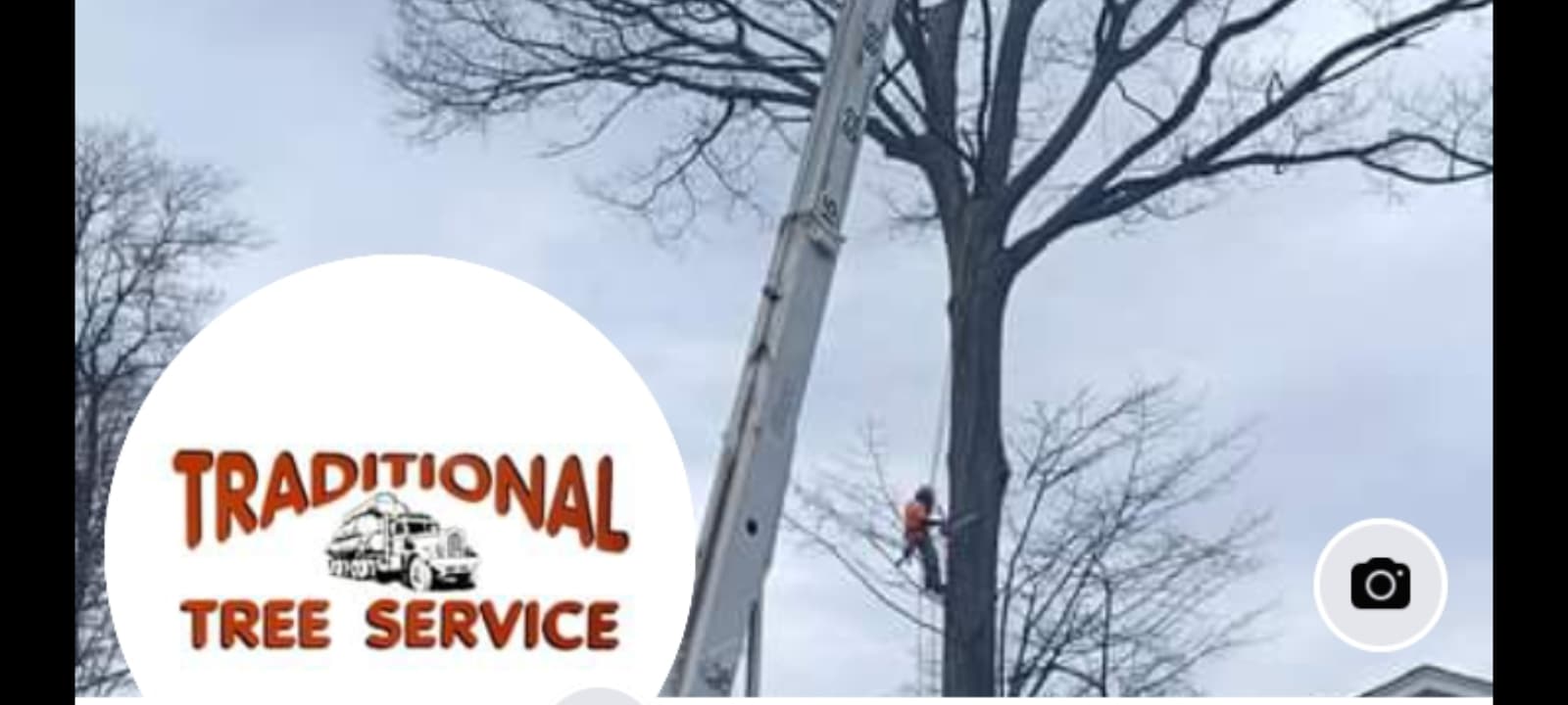 Traditional Tree Service