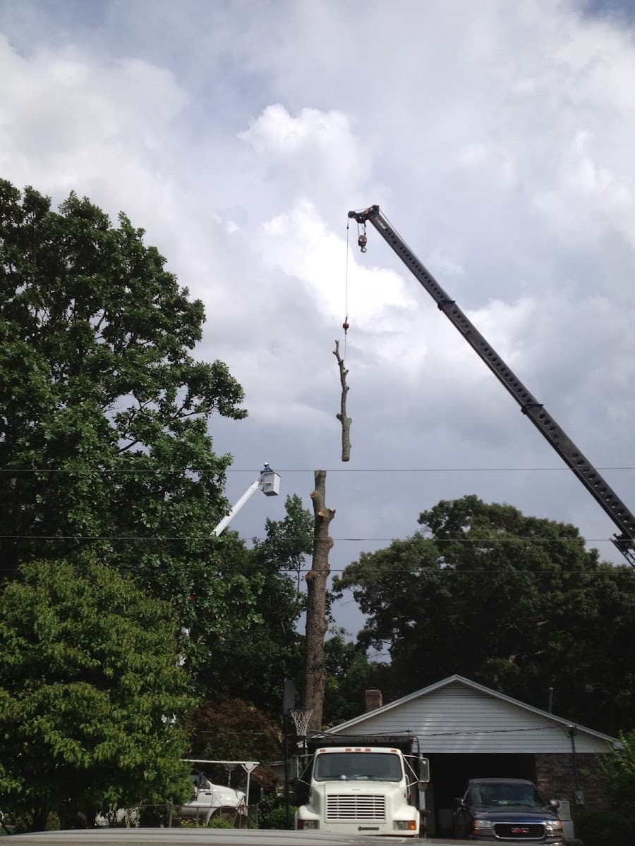 Hultgren Tree Service, LLC